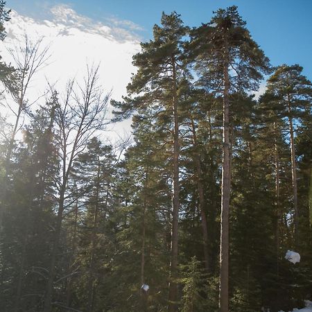 Hotel Borovets Edelweiss Exterior foto